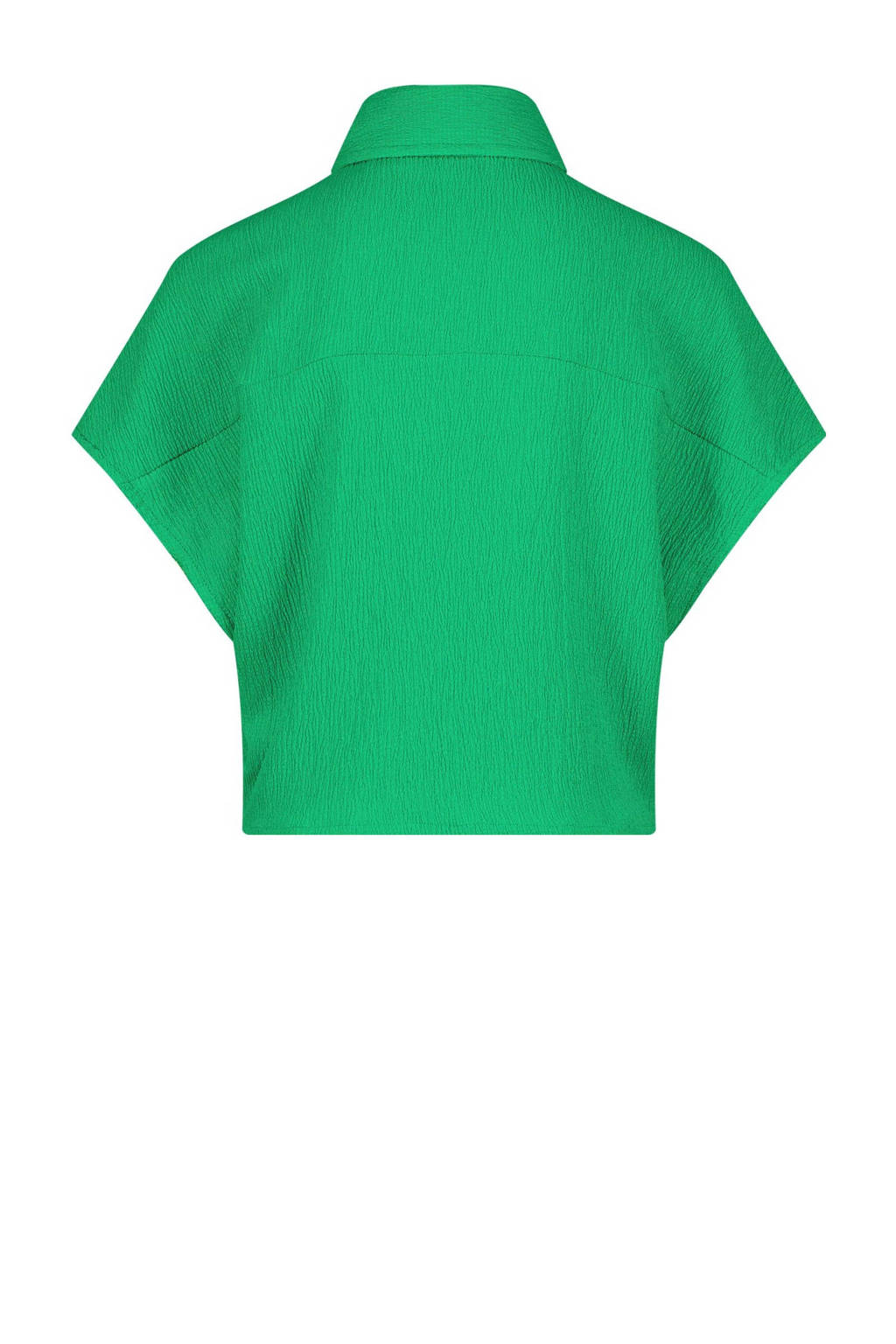 Raizzed blouse Telsa felgroen
