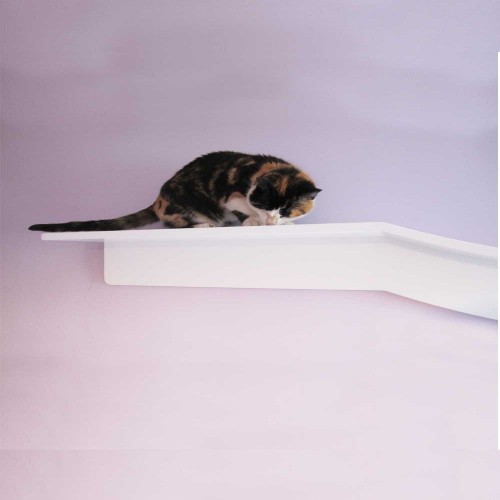 Centro de atividades com prateleira para gatos, cor cacau
