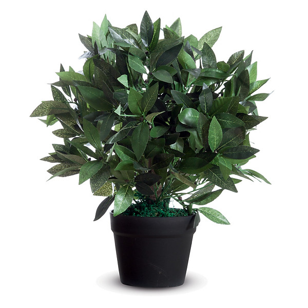 Plante artificielle laurier h 50 cms