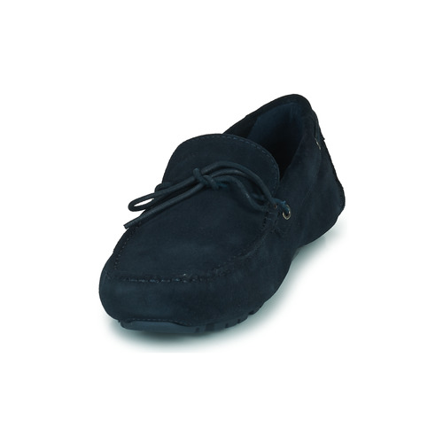 Geox - U MELBOURNE - Marine