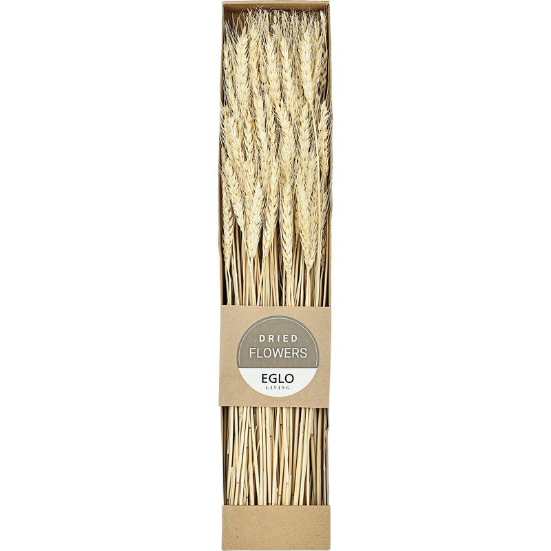 EGLO Trockenblume, 60 cm, beige