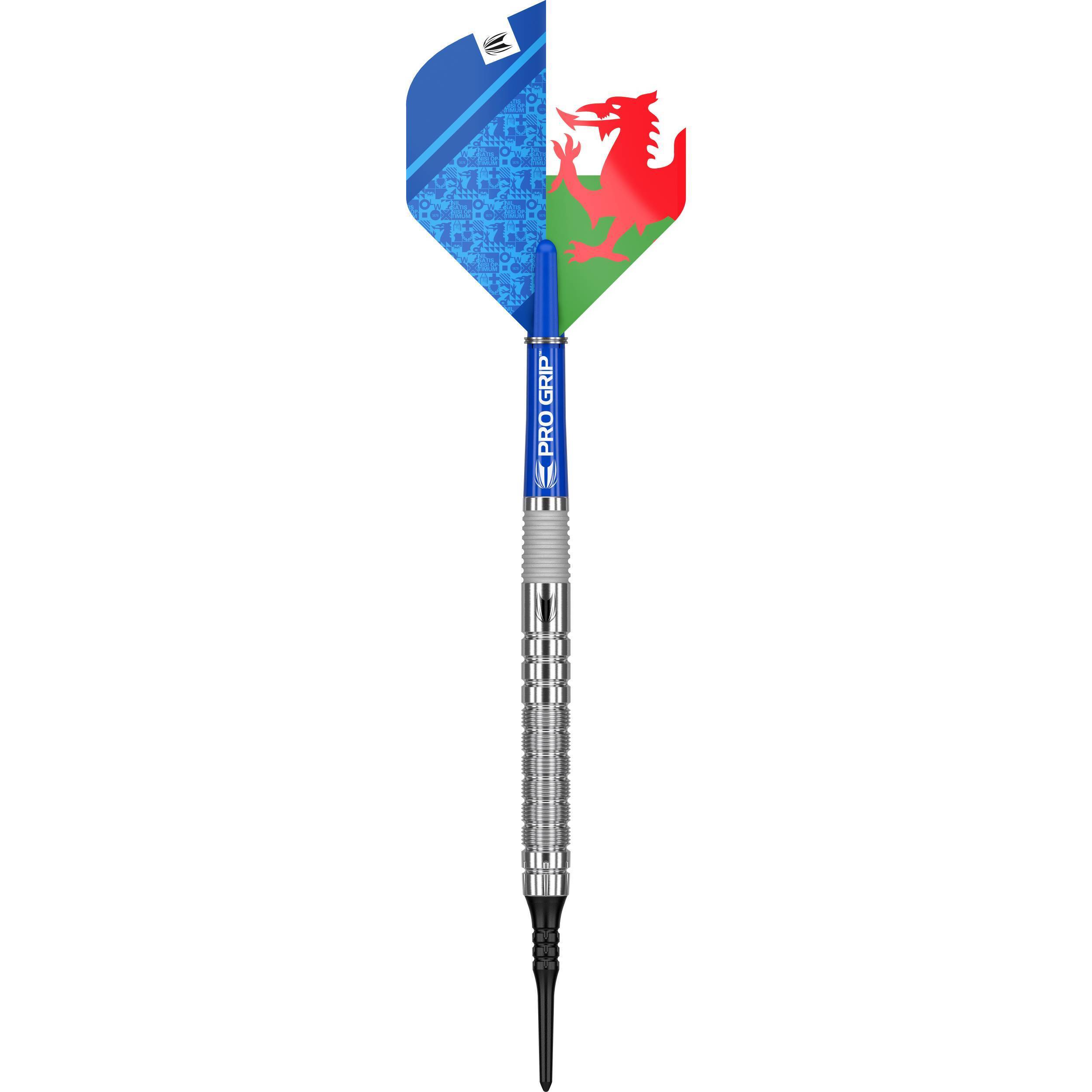Target - Lewy Williams - Softdart
