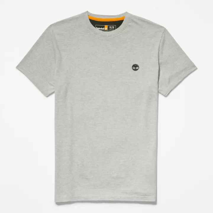 T-shirt Dunstan River pour homme en gris