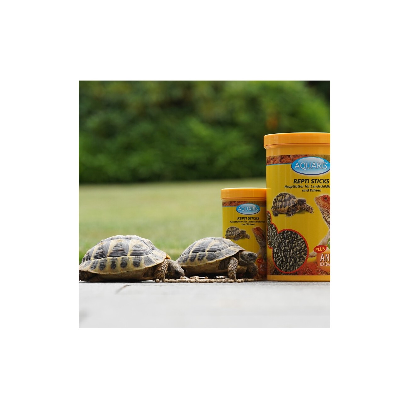 AQUARIS Repti Sticks - Schildkrötenfutter - 80g / 250ml