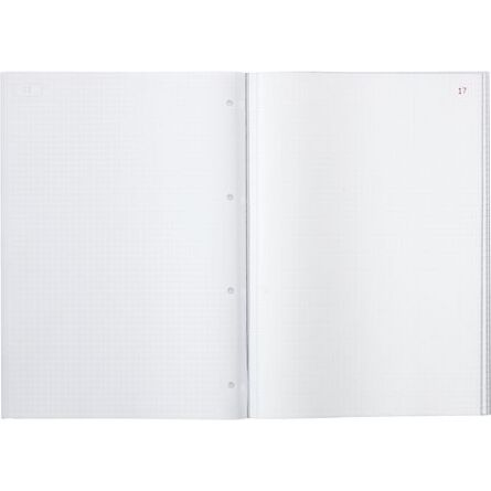 Manifold Le Dauphin 1122 - 50 pages 21 x 29,7 cm Autocopiant 2 exemplaires