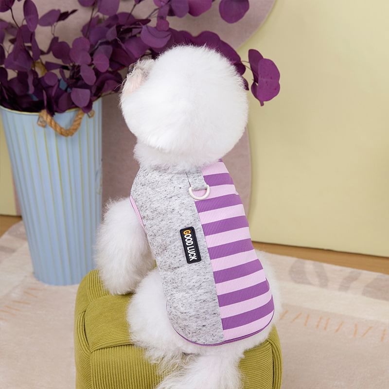 Cissilli - Gestreept Paneel Pet Top