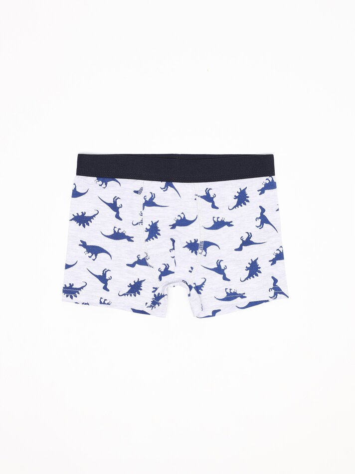 Pacote com 7 cuecas boxer estampadas - Cores Variadas