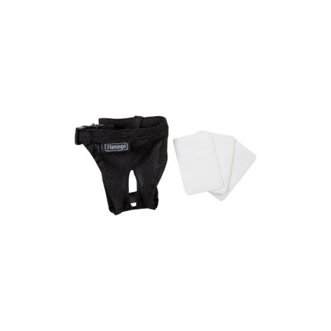 Jolly Culotte Periodique Noir