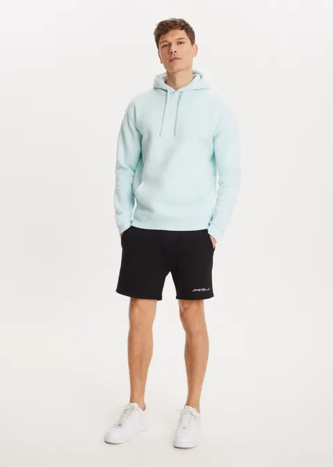 Brushed hoodie blauw (BLW.BA)