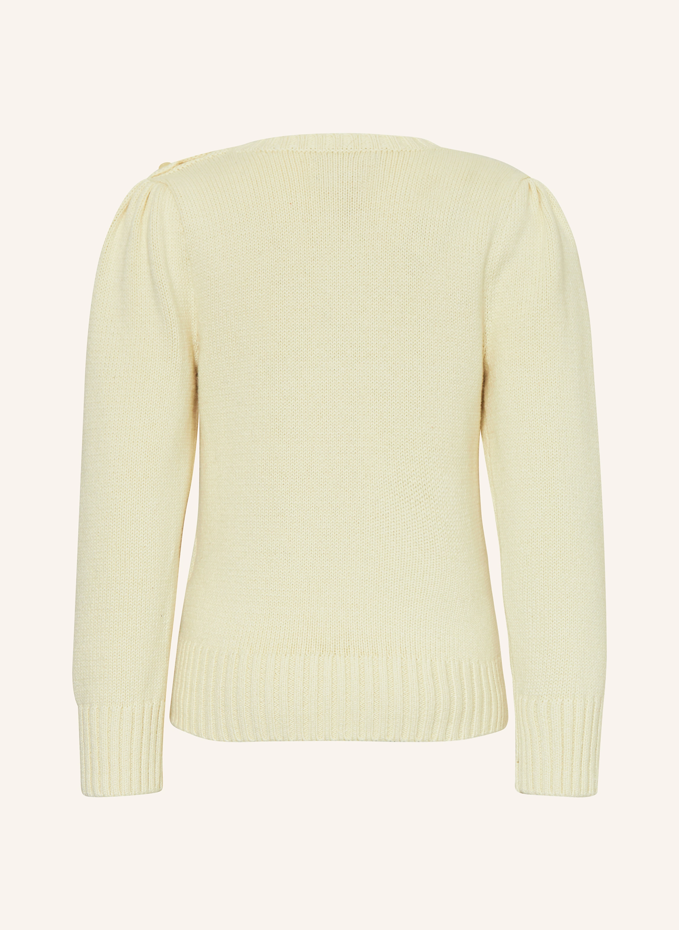 POLO RALPH LAUREN Pullover