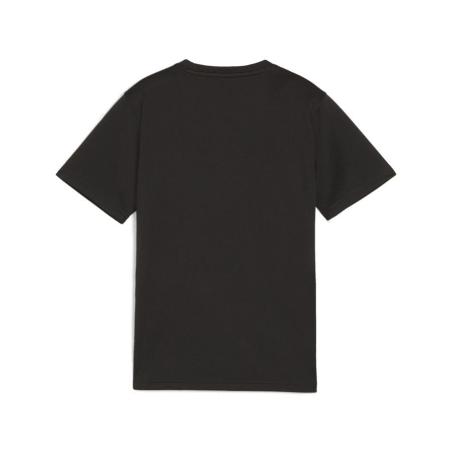 PUMA T-shirt d'Entraînement teamGOAL - Noir/Blanc/Gris Enfant