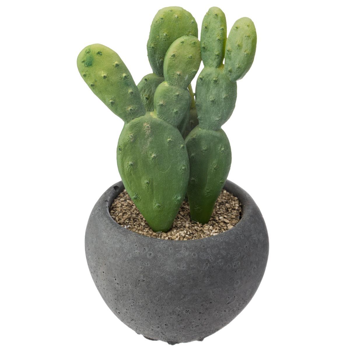 CACTUS POT CIMENT NOIR D.6.5CM