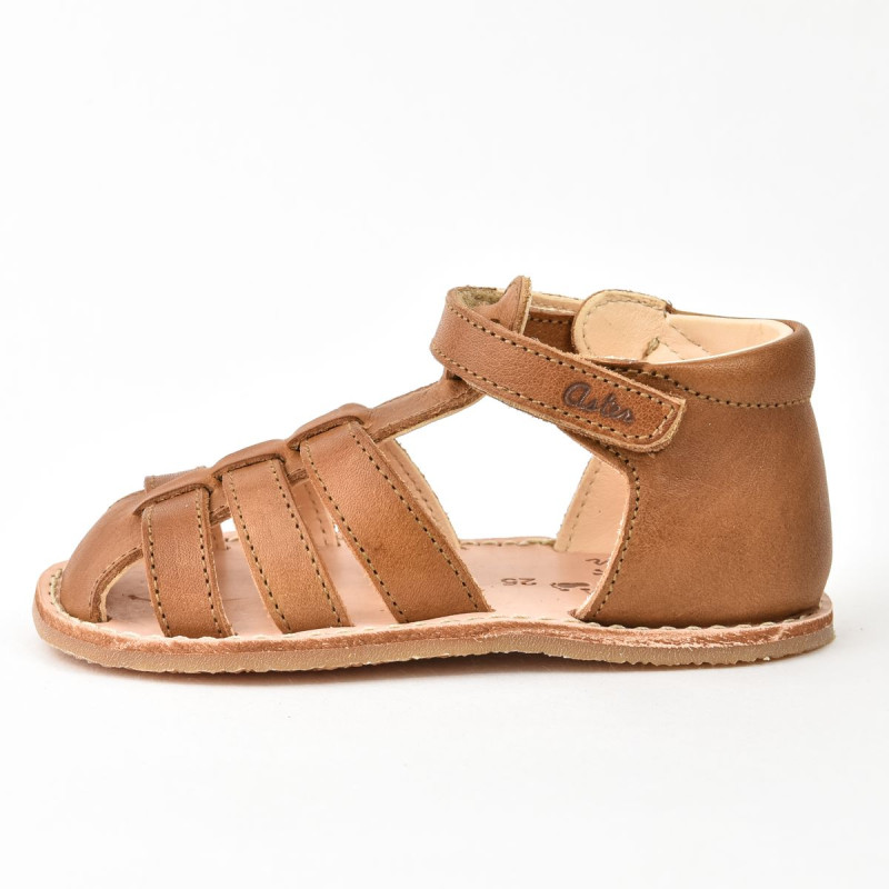 Aster Aster Petits Pas Binosmo Camel