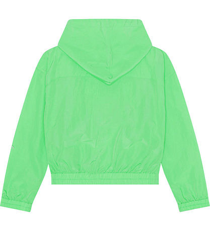 Molo Jacke - Hali - Classic+ Green
