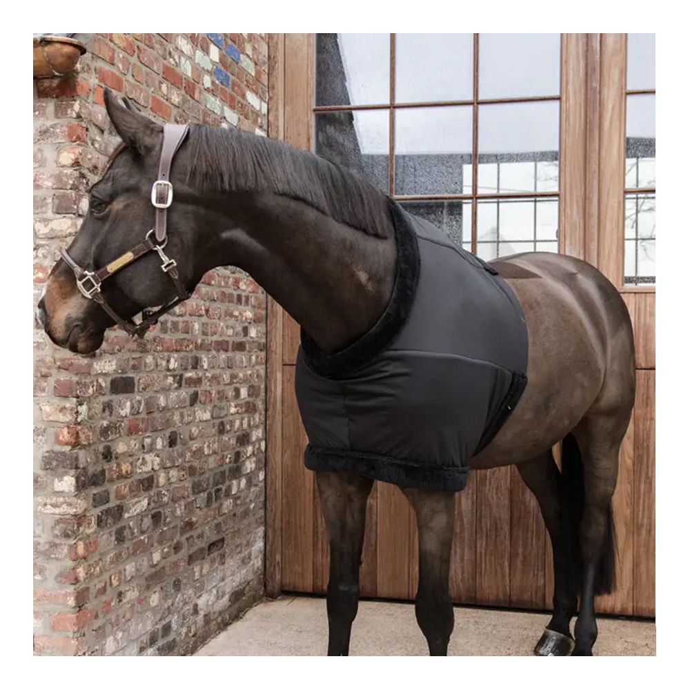 Kentucky 52182 - Protection de potrail black