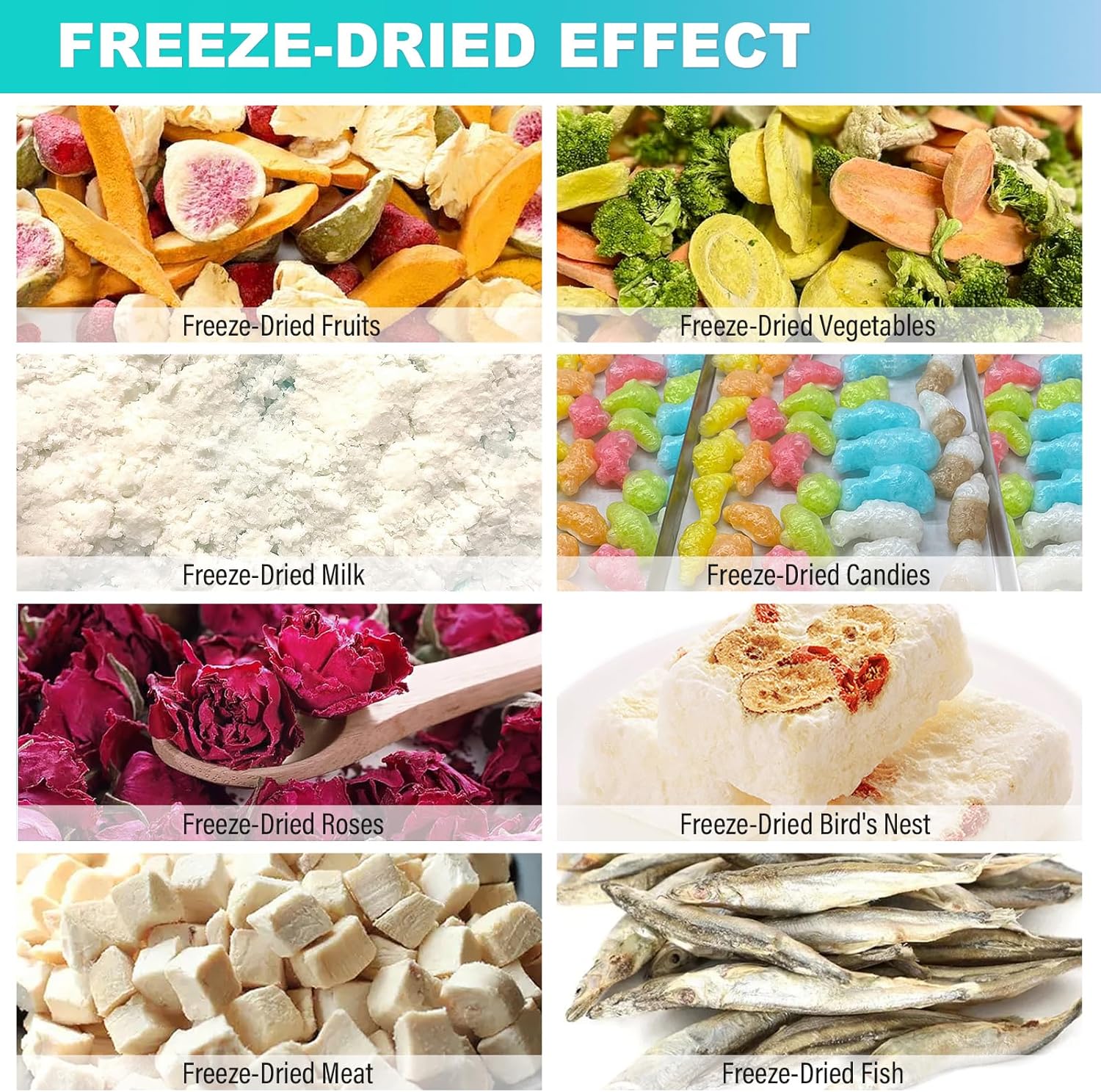 Freeze Dryer Gefriertrockner für zuhause mit 4 Ablagen, 5 kg Kapazität: Dehydrator für Lebensmittel Für Handel & zuhause! Ideal zum Konservieren von Lebensmitteln