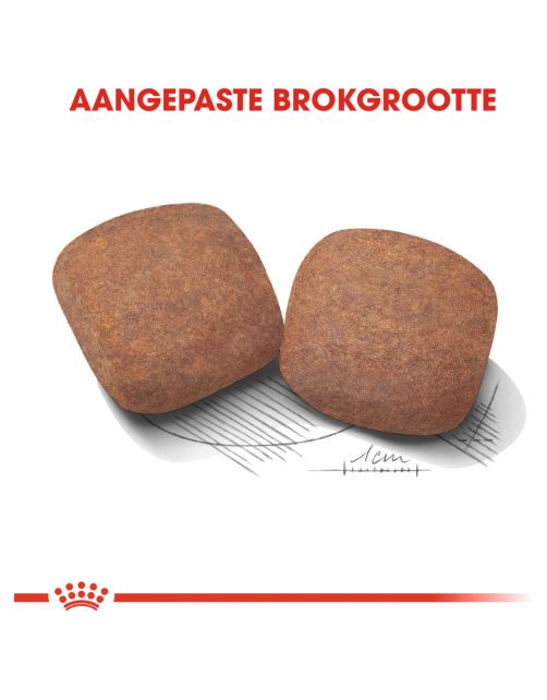 Royal Canin Giant Adult - Hondenvoer