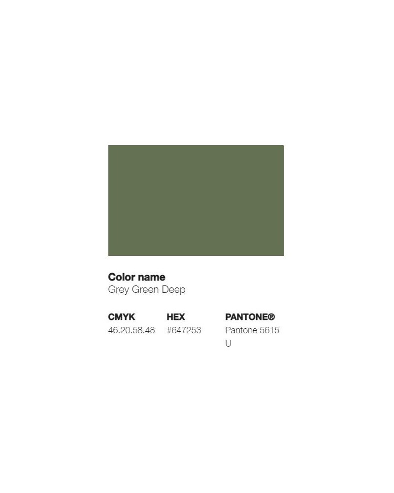 Vert Gris Profond