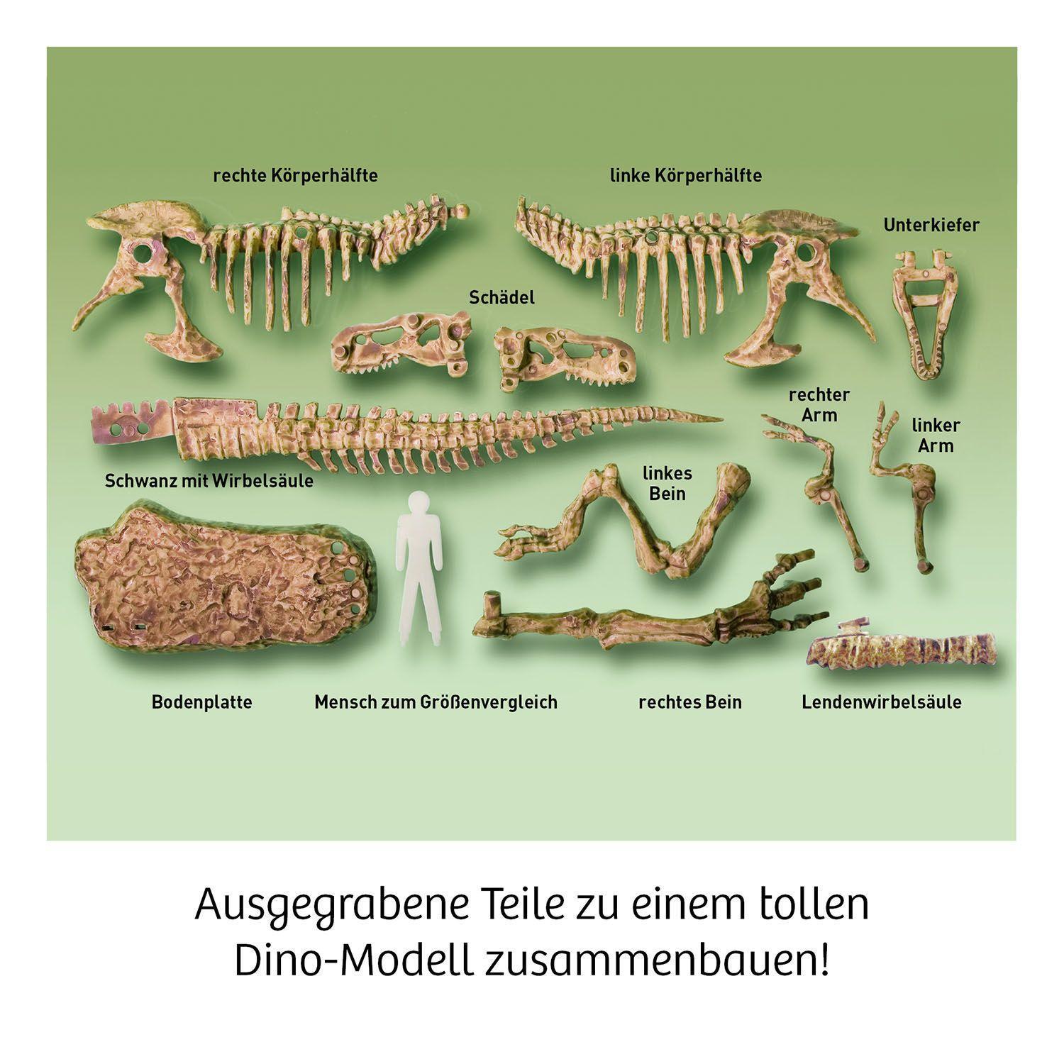 Experimentierkasten T-REX 3D