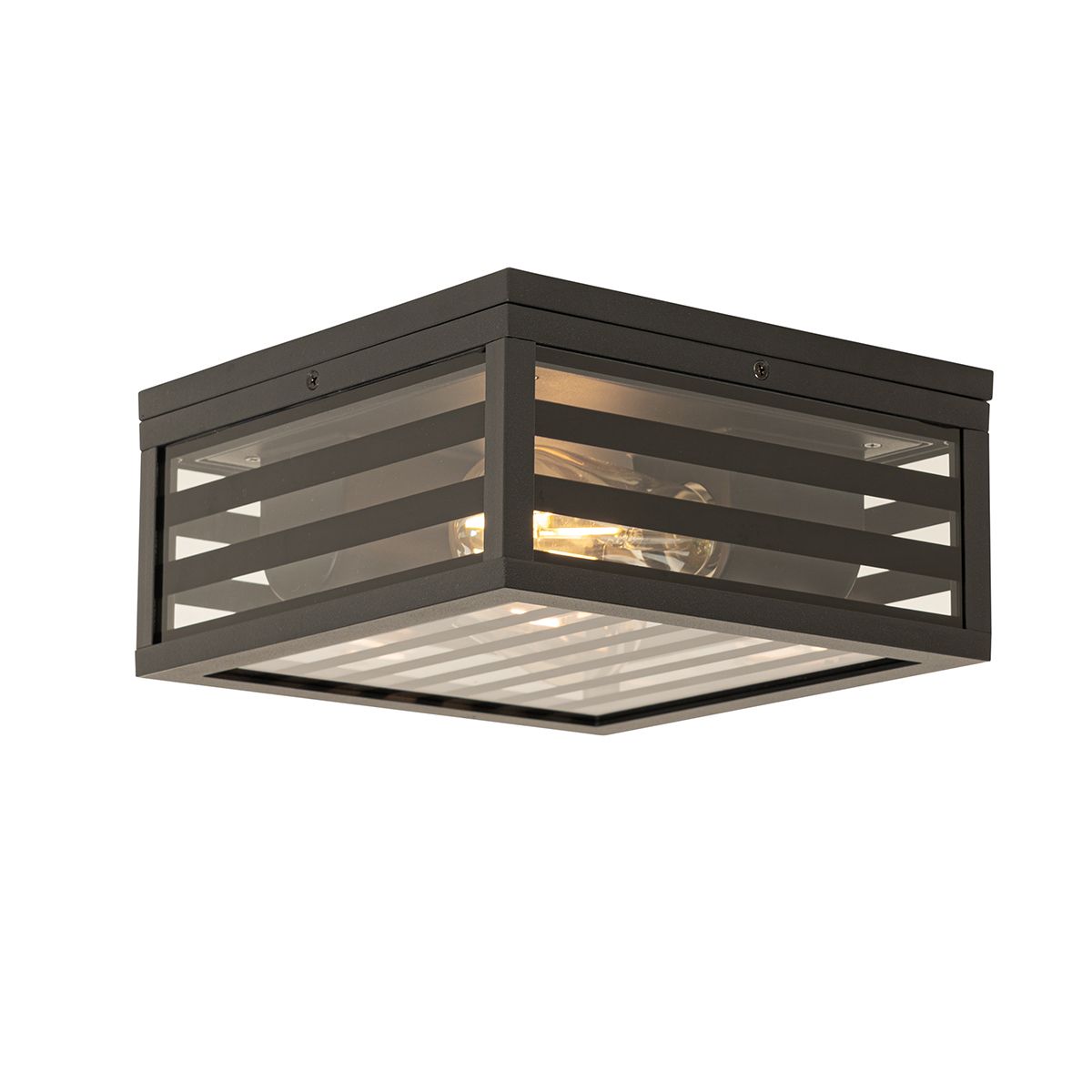 Moderne buiten plafondlamp zwart glas 2-lichts IP44 - Reims
