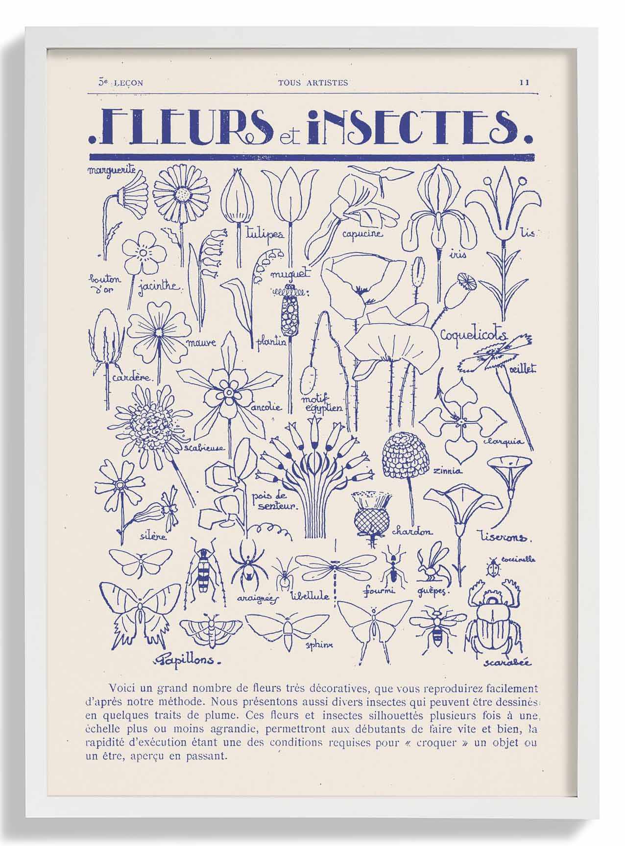Fleurs et Insectes von Astër