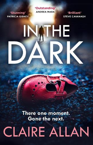 In The Dark (Paperback)