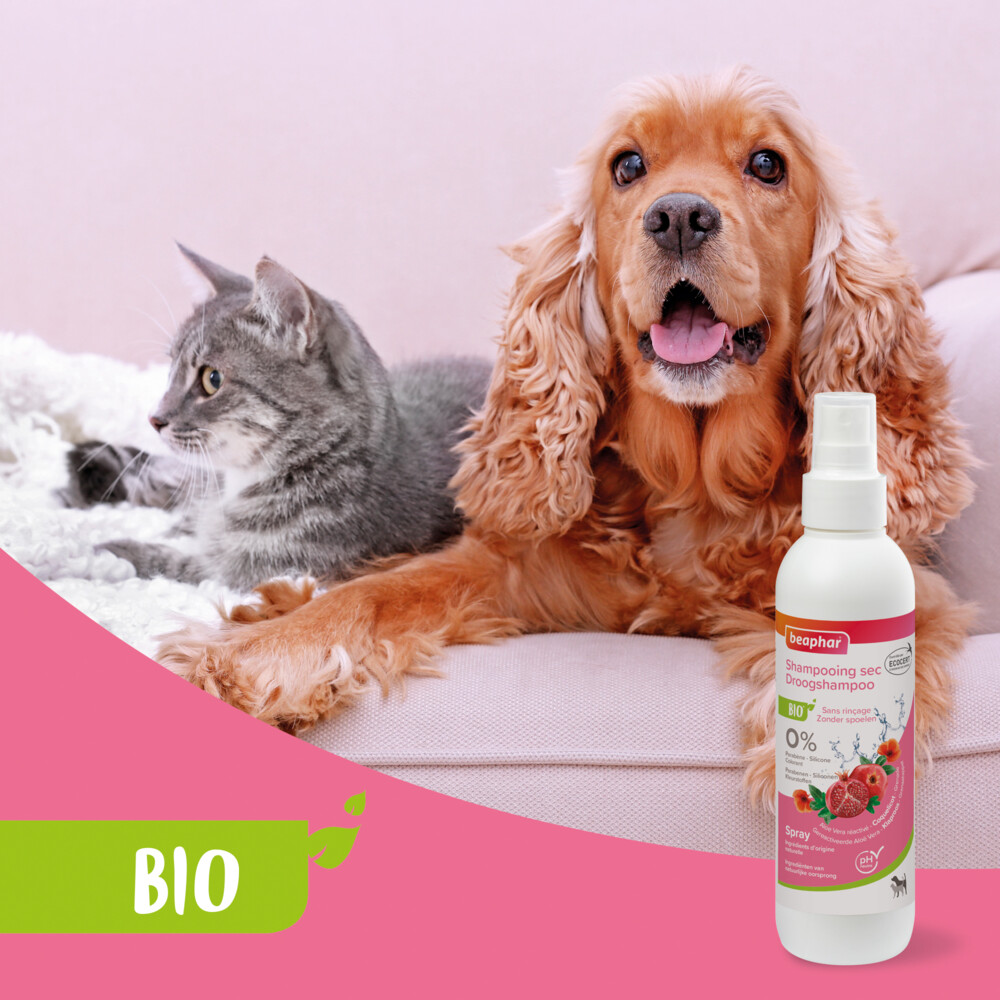 Beaphar Bio Droogshampoo 200 ml