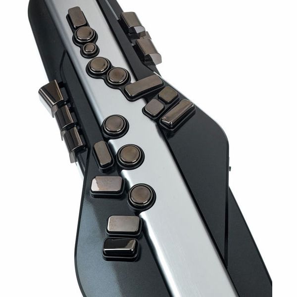 Roland Aerophone Pro AE-30