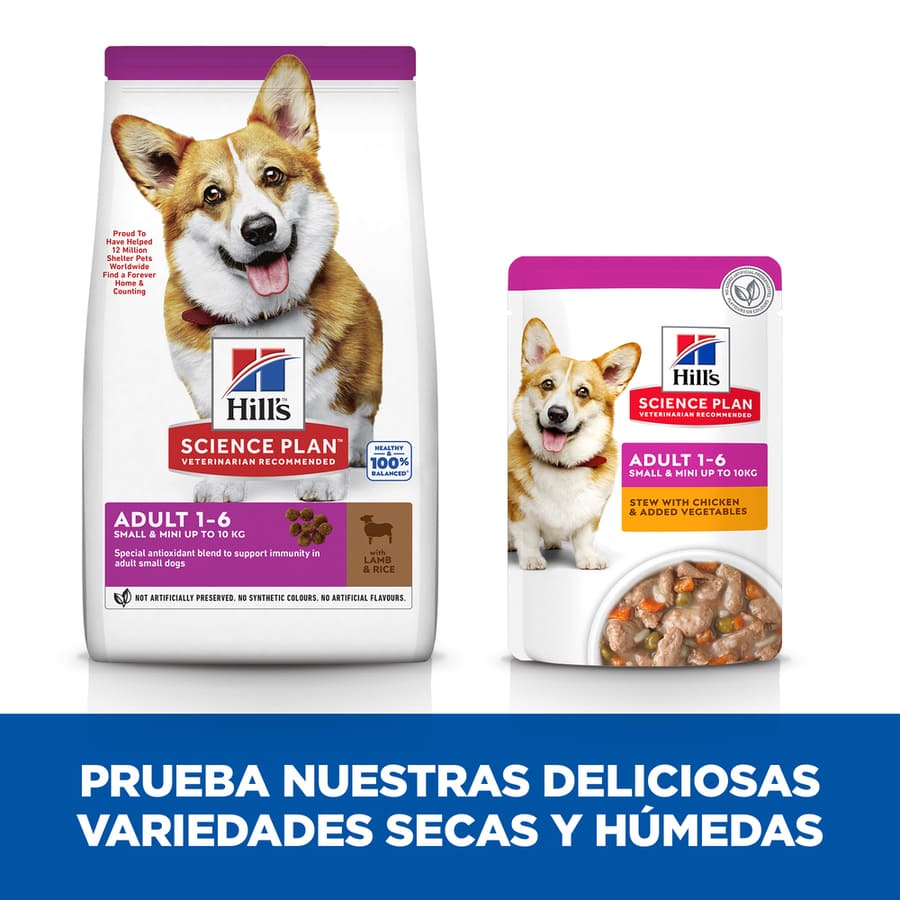 Ração Hill's Science Plan Adult para Cães de Pequeno e Pequeno Porte com Cordeiro