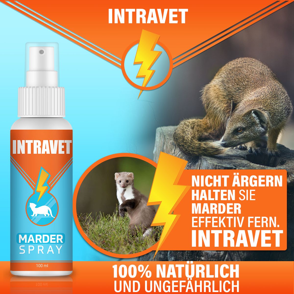 Intravet® | Anti Marder Spray
