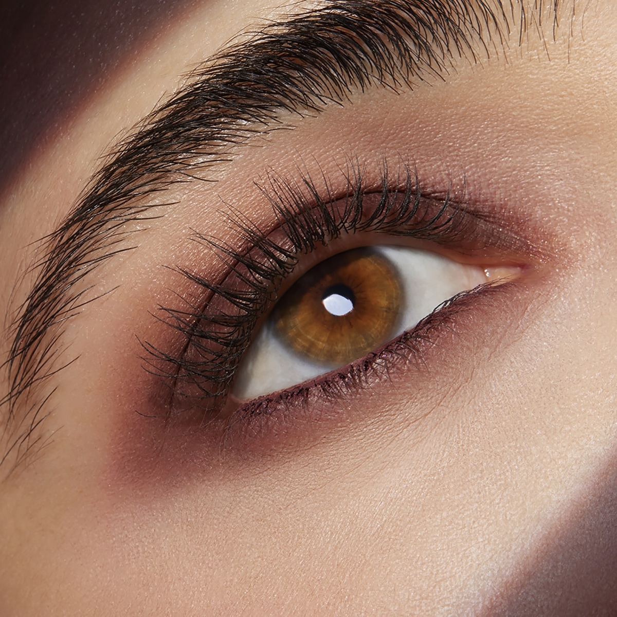 ESTEE LAUDER Pure Couleur Envy Ombres à paupières Sculptantes