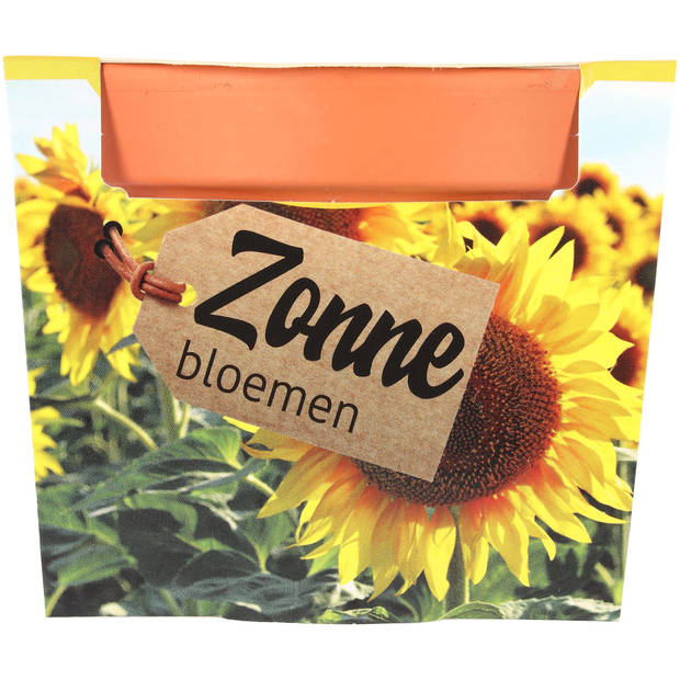 Cadeauset terracotta met zaadjes - 4 assorti