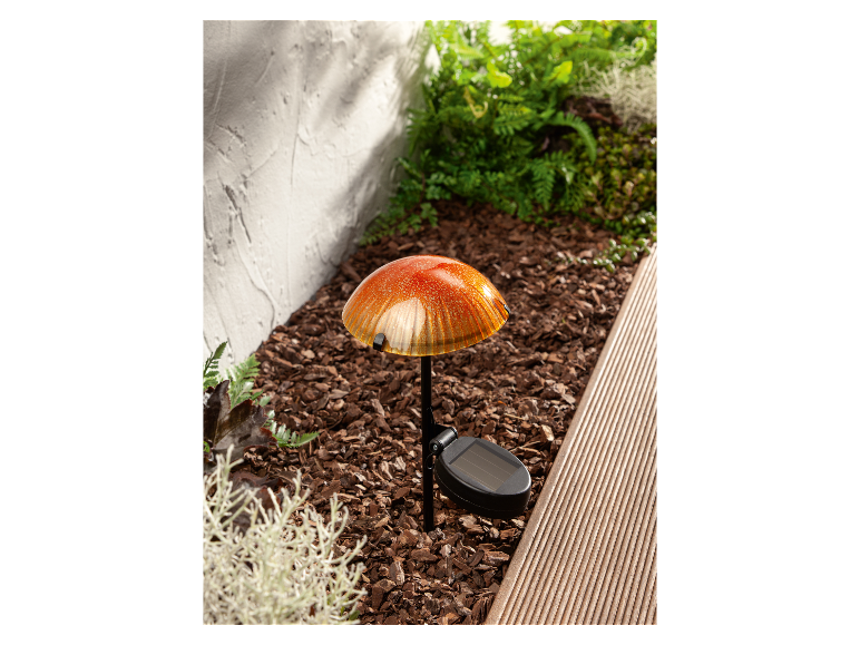 Solar LED-paddenstoel