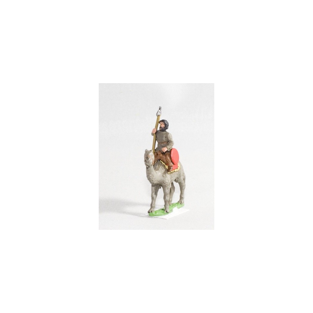 Early, Mid or Late Imperial Roman: Dromedarii (Light camelry)