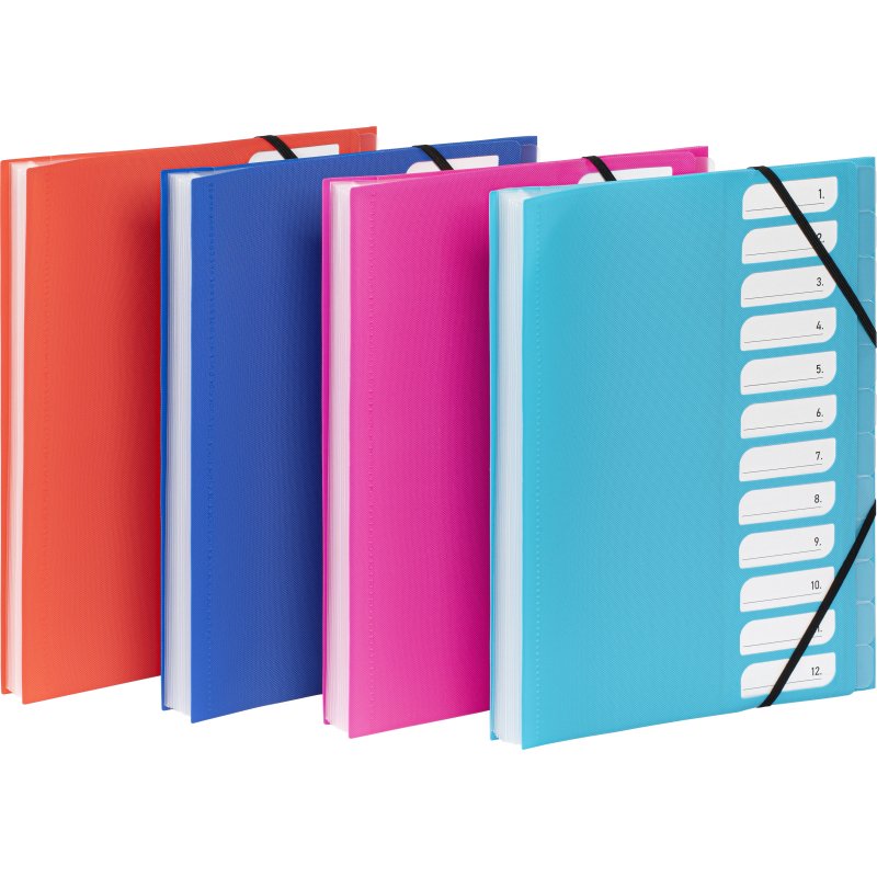 Trieur extensible 12 compartiments A4 - polypropylène - FEEL'EASY VIQUEL - coloris assortis