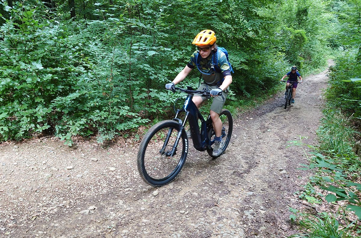 E-Mountainbike Tagestour Wien