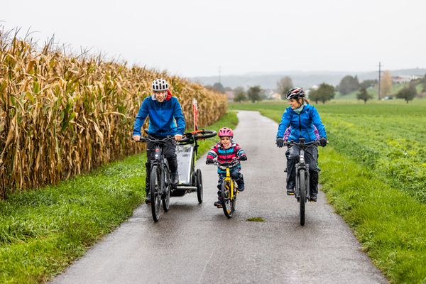 VELOPLUS-FISCH Anhängerfahne für Veloanhänger  schwarz