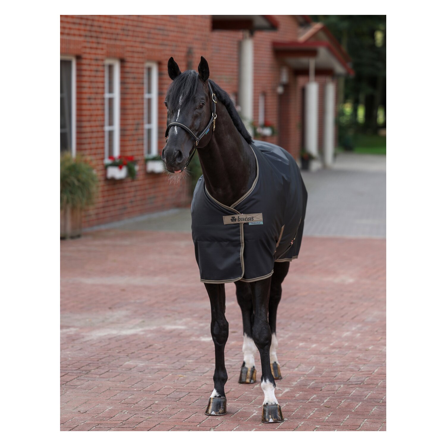 Bucas Stalldecke Freedom - schwarz/taupe