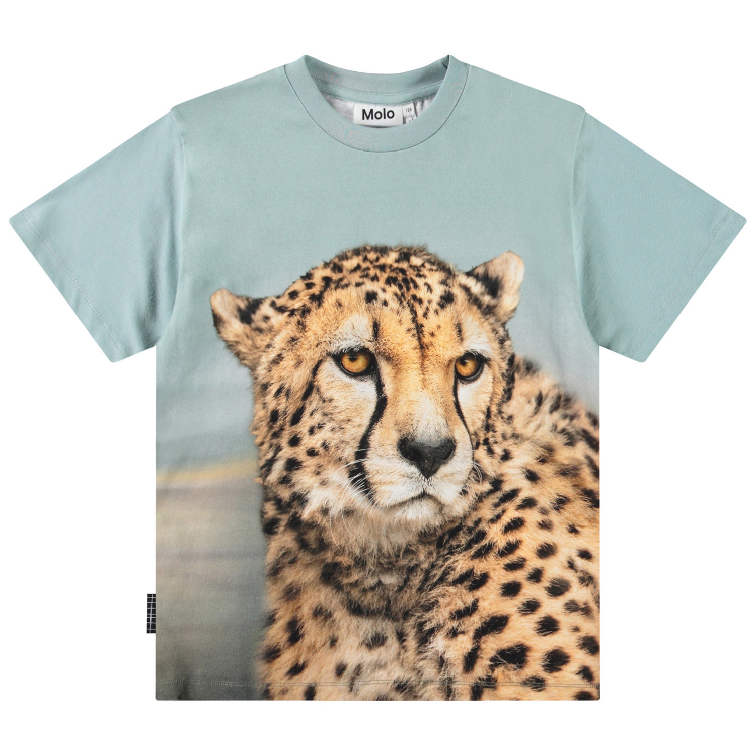 Rubin - Big Cheetah Blue