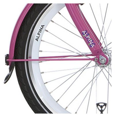 Alpina Fender stay set 22 rose bonbon