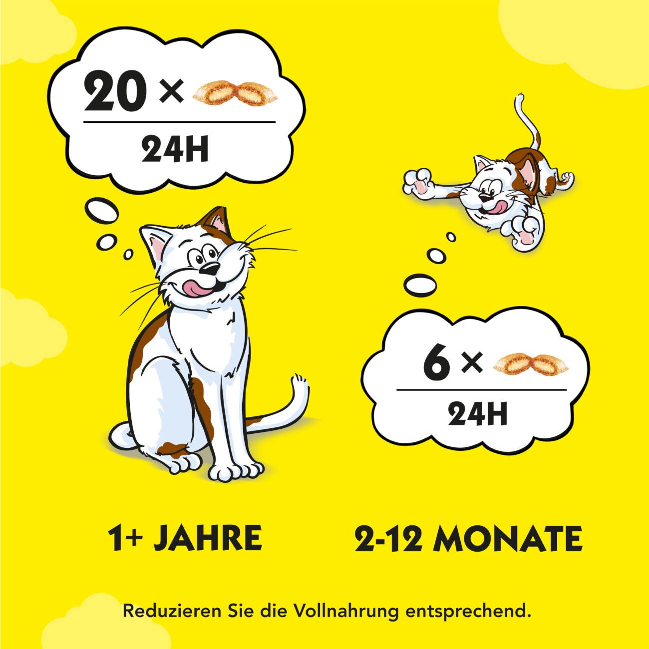 Dreamies Mix 6x60g Käse und Rind