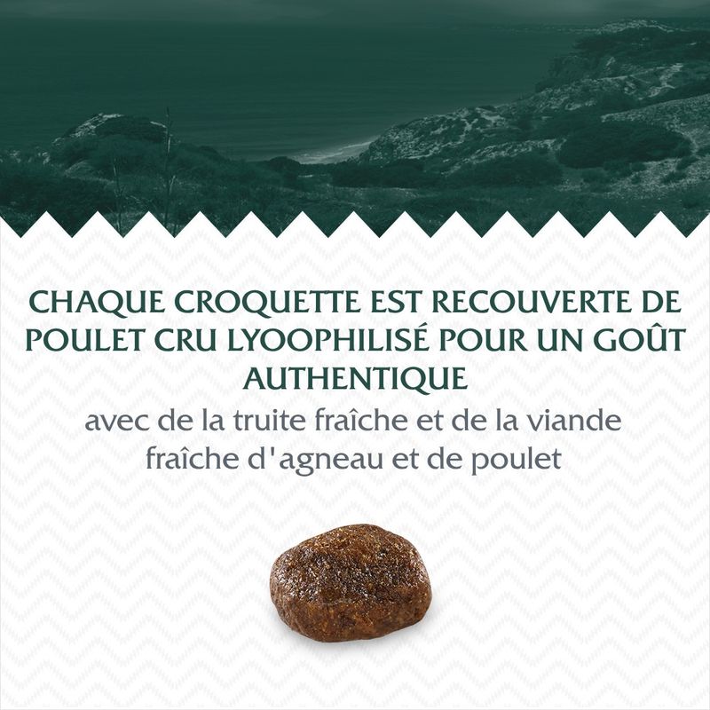 Wolf of Wilderness Mediterranean Coastlines agneau, poulet & truite
