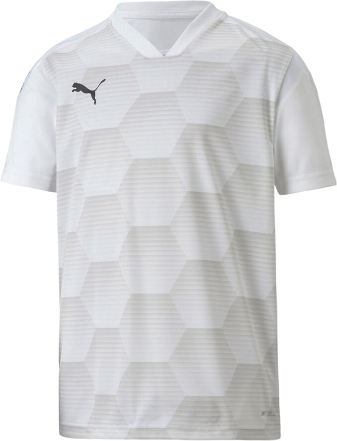 Puma Teamfinal 21 Graphic T-shirt Hvid