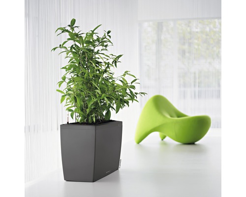 Lechuza Cararo kamerverdeler complete set 75 x 30 x 43 cm antraciet