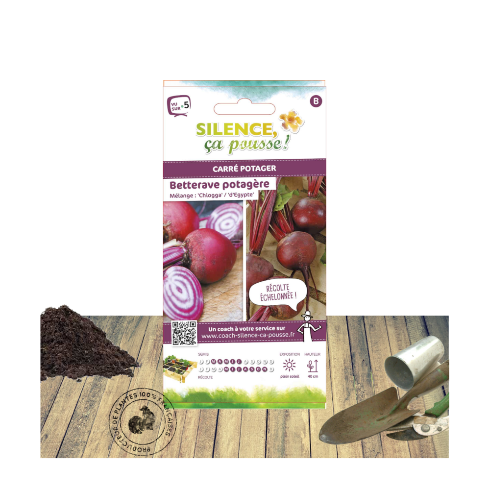 Graines de betterave d'egypte et chioggia/beta vulgaris subsp. Vulgaris d'egypte et chioggia[-]sachet de 4 gr.