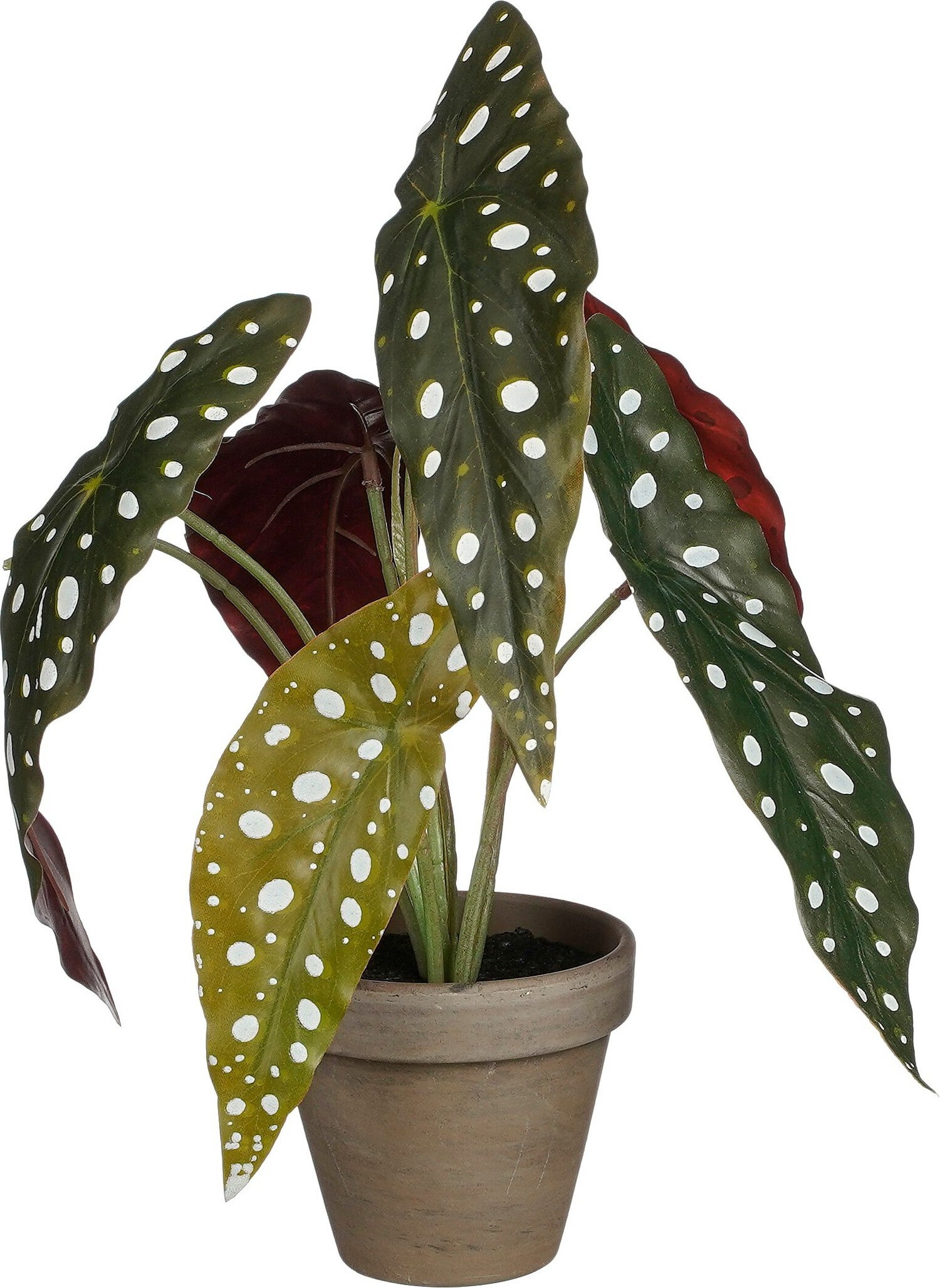 Mica Decorations kunstplant Stippenbegonia groen H 28 D 21 cm