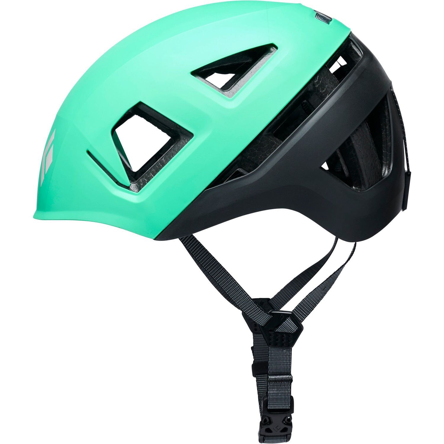 Black DiamondCAPITAN E HELMET