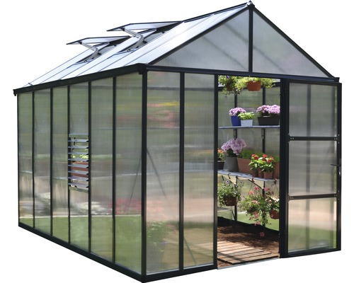 Palram Kas – Canopia Glory 8x12 Dubbelwandige Polycarbonaat Panelen 10 mm incl. Fundering, Goten, Automatische Raamopener 244,5 x 364 cm Grijs