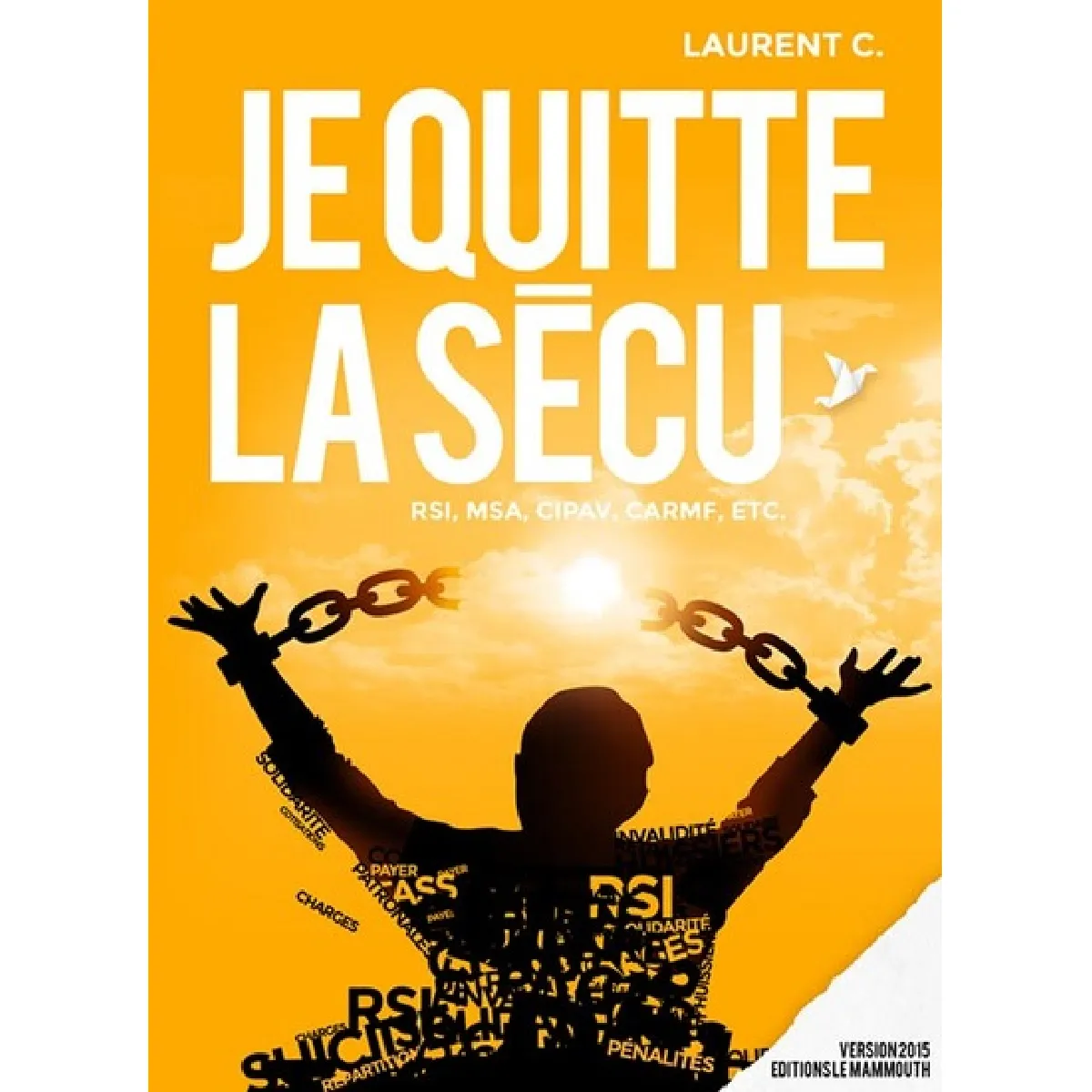 Je quitte la Sécu : RSI, MSA, CIPAV, CARMF, etc. · Occasion