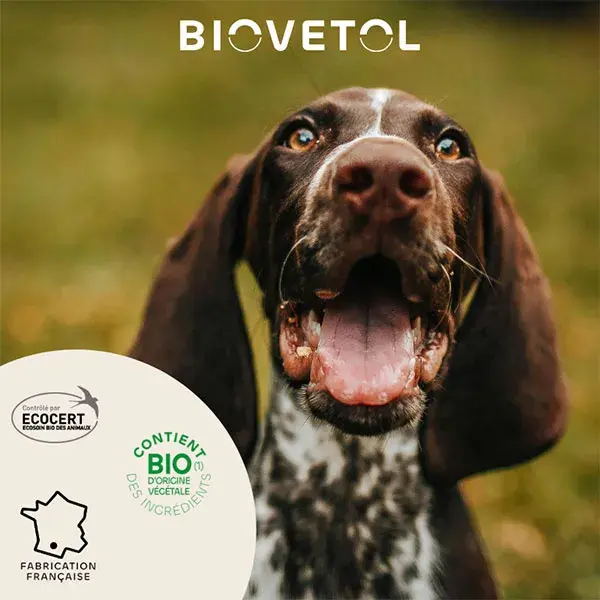 Biovetol - Antiparasitário - Pipetas Orgânicas para Cães de Porte Médio - 3ml (x3+1)